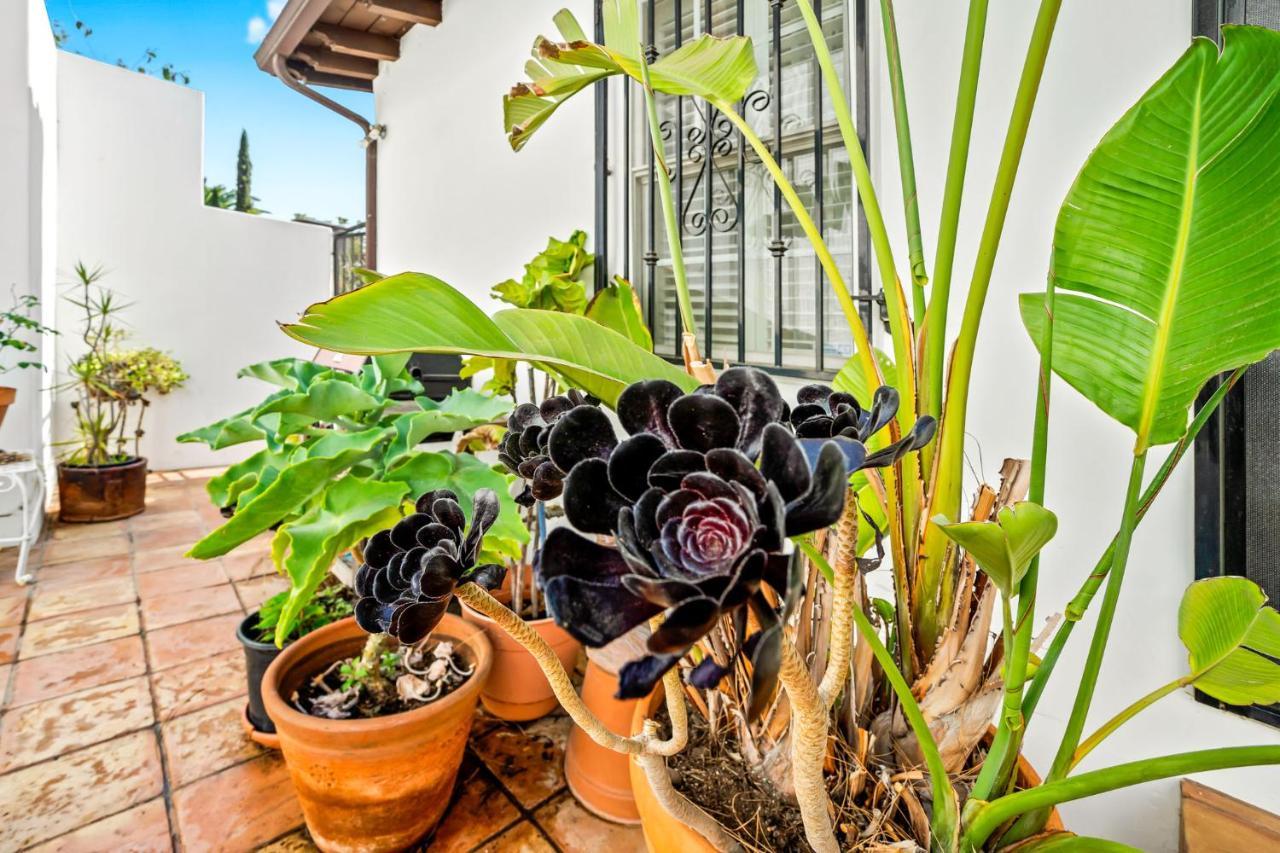 Hollywood Hills Homestay ロサンゼルス エクステリア 写真